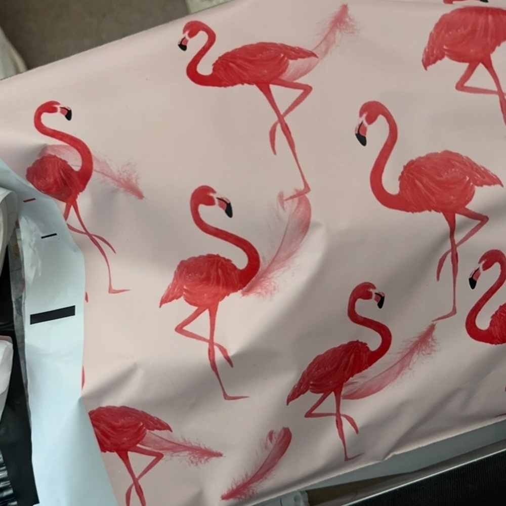 Flamingo Poly Mailers, 10x13 Inch Pack of 10